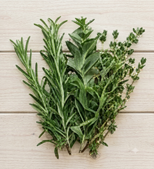 Fresh Rosemary & Thyme Bundle